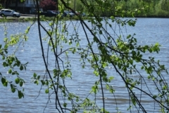 Dan-Breslin-img_5835