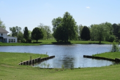 Dan-Breslin-img_5855