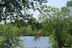 Dan-Breslin-img_5858