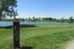 Dan-Breslin-img_5904