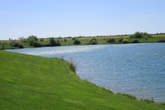 Dan-Breslin-img_5910
