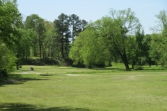 Dan-Breslin-img_5918